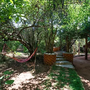 The Thick Forest Деревянный коттедж
